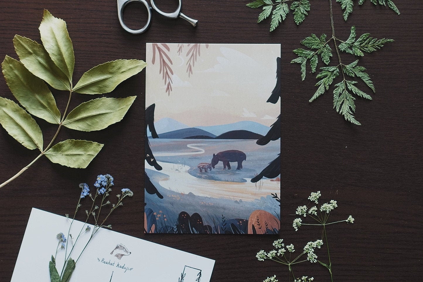 Tapir Postcard